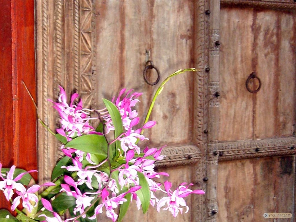 thailand-villa-door