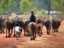 thailand-village-life