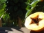 thai-papaya